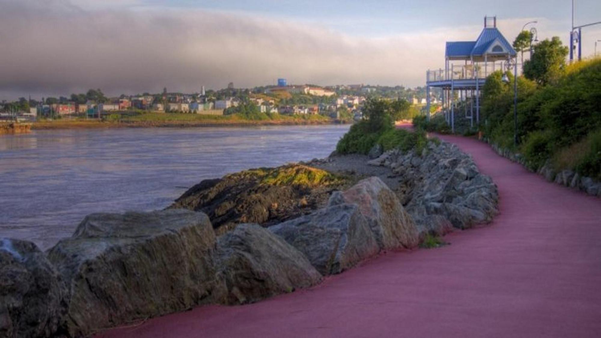 Holiday Inn Express Hotel & Suites Saint John Harbour Side By Ihg Buitenkant foto